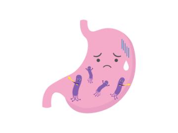 ピロリ菌イラスト